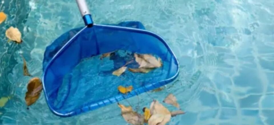 Read more about the article how to get dirt out of a pool without a vacuum