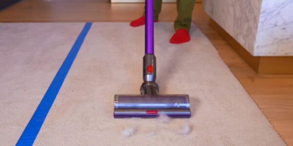 The 8 Best Dyson Vacuums for Pet Hair in 2025