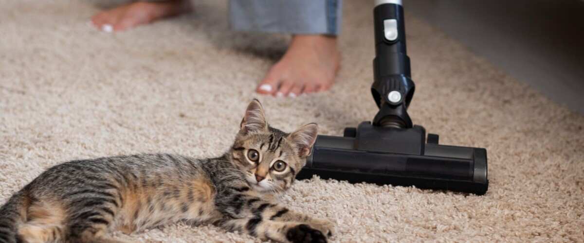 You are currently viewing The 7 Best Vacuums for Cat Litter Of 2025